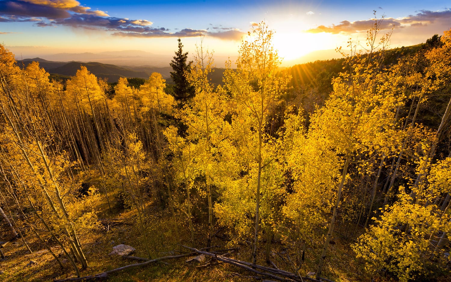 Aspen Vista Trail Santa Fe New Mexico