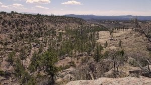 Bandelier Los Alamos New Mexico