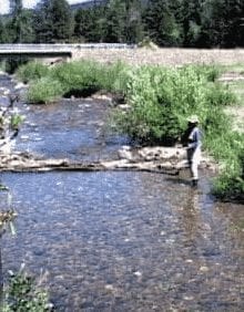 Fly Fishing Santa Fe New Mexico