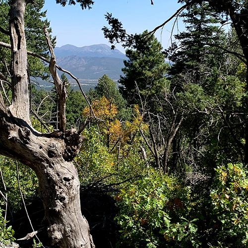 northern new mexico trails