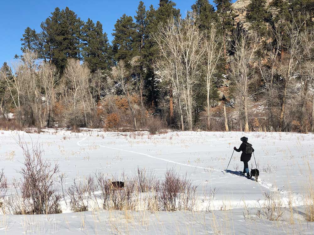 Woman snowshoeing