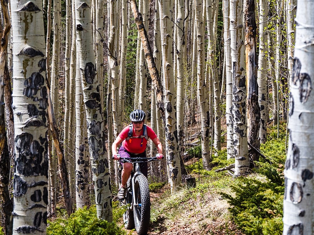 mountain biker in santa fe national forest