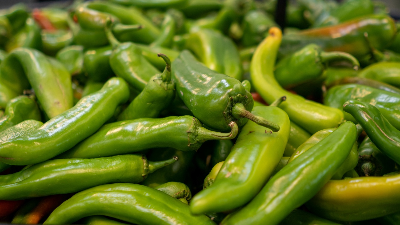 Hatch Chiles.