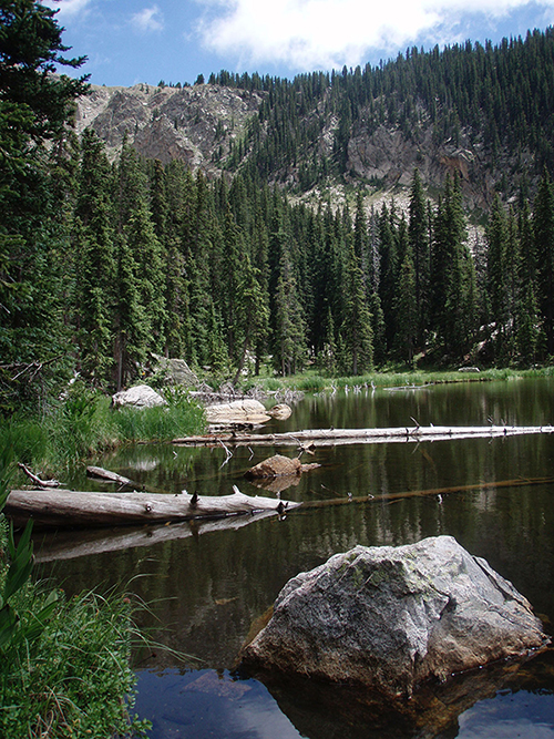 norther new mexico trails