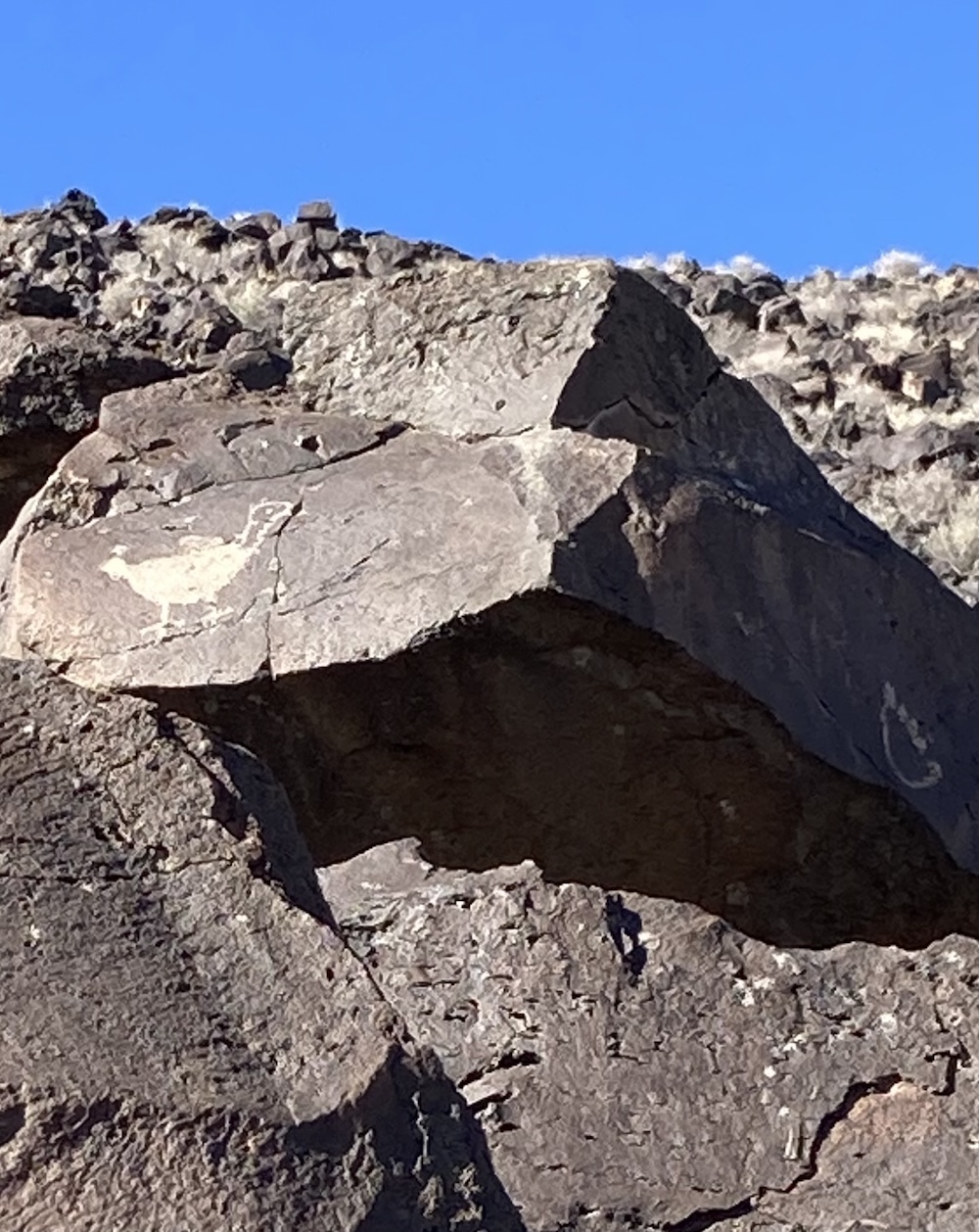 Petroglyph National Monument.