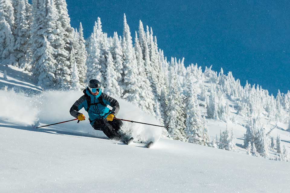Skier with snow-covered pines in background at Revelstoke Mountain Resort.