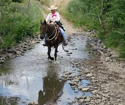 edward sargent wildlife area